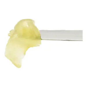 Banana Punch #4 Live Rosin Badder (1g)