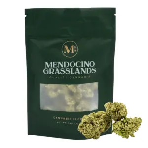 Sasso Cookies Sungrown Flower (1/2oz)