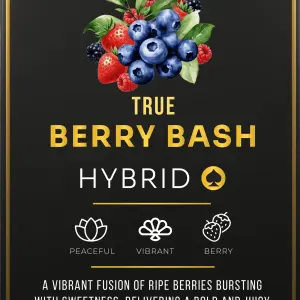 Ace Berry Bash