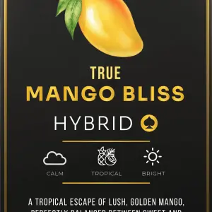 Ace Mango Bliss