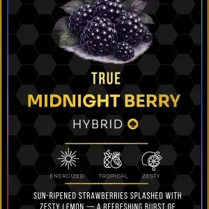 Ace Midnight Berry