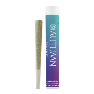 Purple Carbonite Pre-Roll (1g)