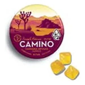 Camino Pineapple Habanero Uplifting Gummies 20pk (100mg)