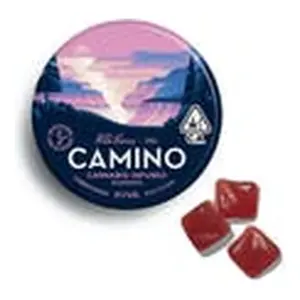 Camino Wild Berry Gummies (100mg)