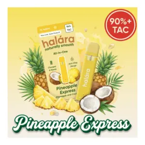 Pineapple Express All-In-One Vape (1g)