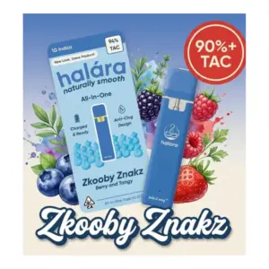 Zkooby Znakz All-In-One Vape (1g)