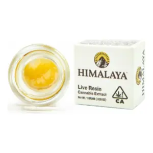 24K Goat Live Resin Terp Sugar (1g)