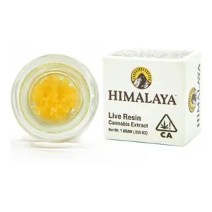 Ze Chem Live Resin Terp Sugar (1g)