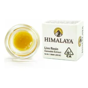 Orange Malt Live Resin Terp Sauce (1g)