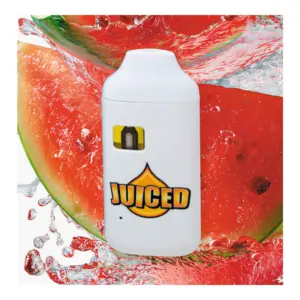 Watermelon All-In-One Vape (1g)