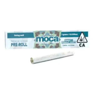 Gary Payton Indoor Pre-Roll (1g)